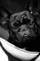 photo 2024 06 16 17 10 32 200