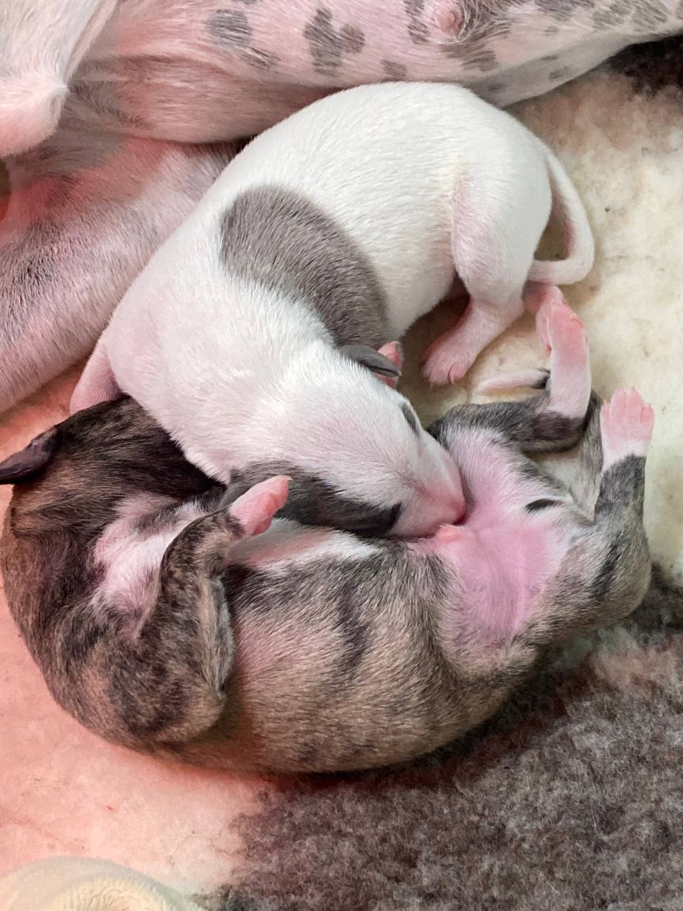 4