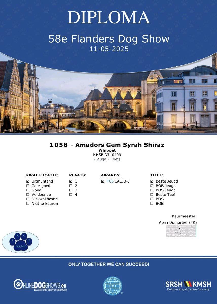 58e Flanders Dogshow Gent België 1