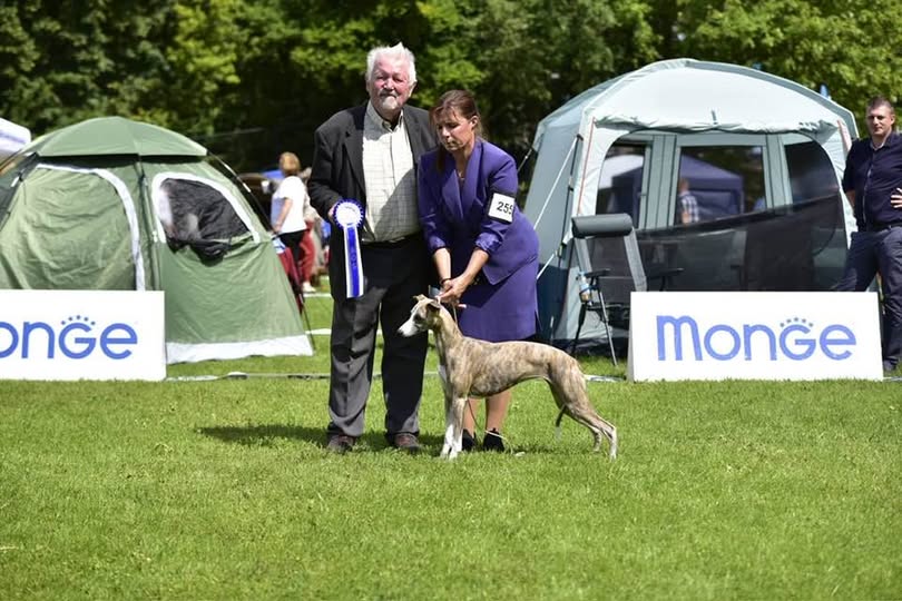 Gent Dulle Griet Open Show