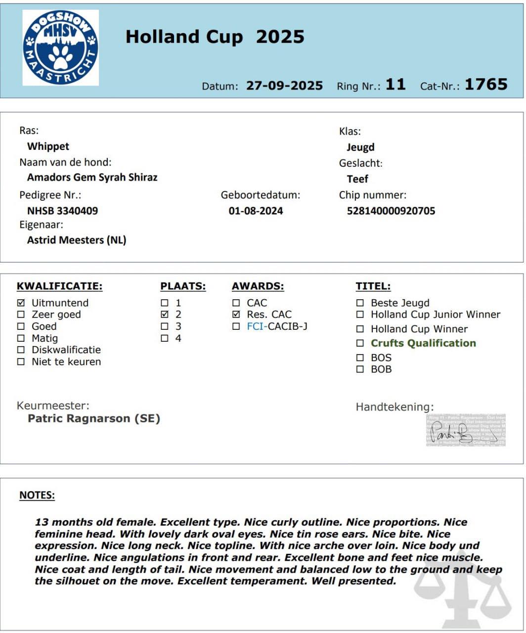 555501194 24905297902433285 8982107806325206483 n