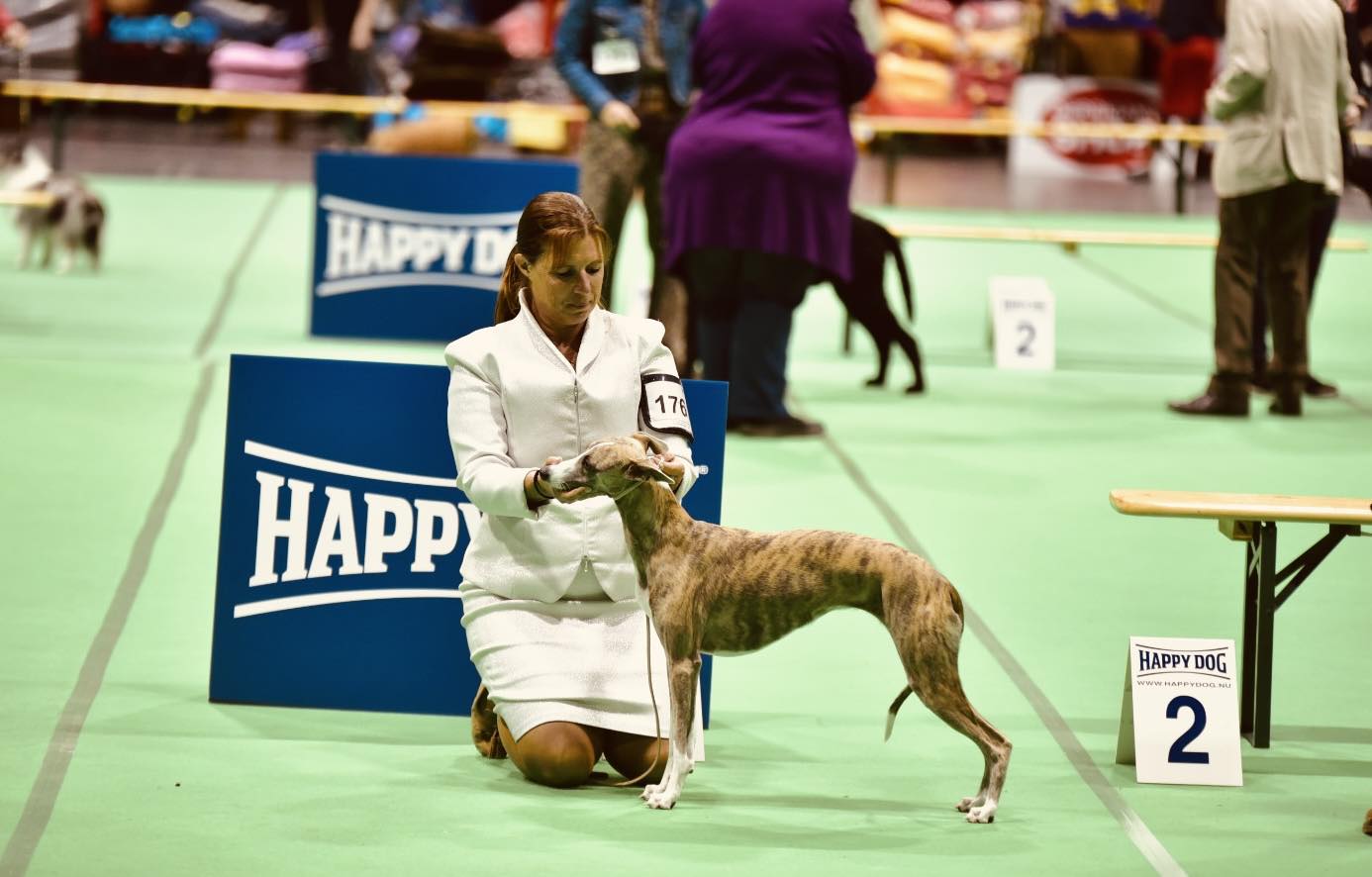 555884702 24901921539437588 1082245995045126083 n