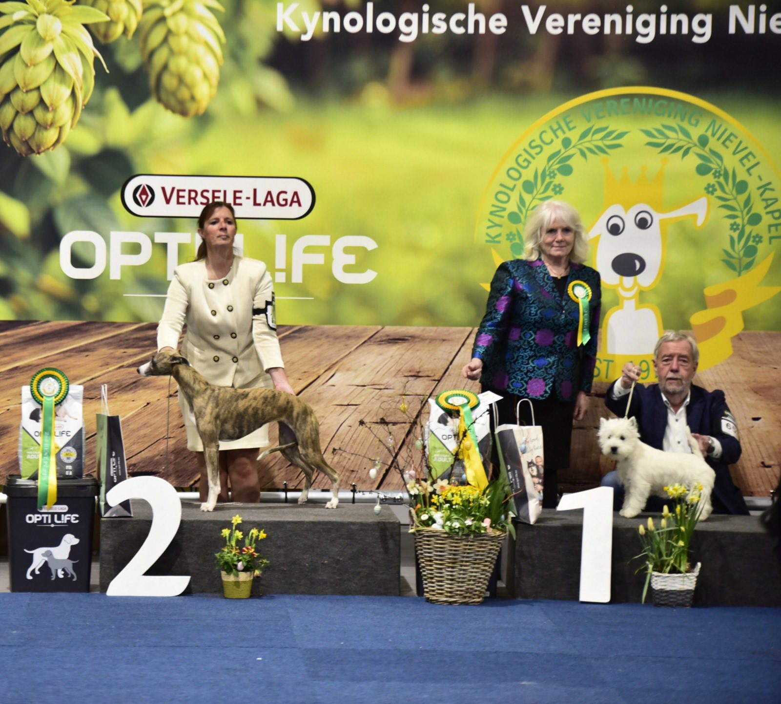 Shiraz res bestinsgowpuppy Wieze